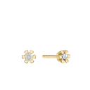 14Kt Ørestik 2X0,30Ct Wsi