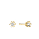 14Kt Ørestik 2X0,35Ct Wsi