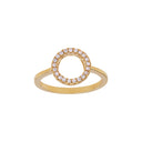Forgyldt ring ANNANOR 10mm Str.48