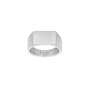 stål ring plade
