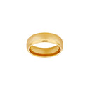 stål ring IP gold blank