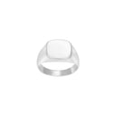 stål ring plade