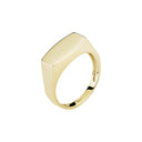 Ring Plade 14X8Mm 333