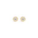 8 karat guld Ørestikker - 60242053
