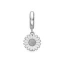 charming marguerite