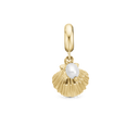 Clam shell