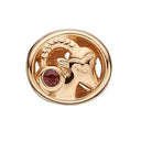 Stjernetegn stenbukken charm - 623-G53