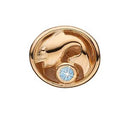 Stjernetegn fiskene - forgyldt sølv charm - 623-G55