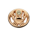 Stjernetegn krebsen - forgyldt sølv charm - 623-G59