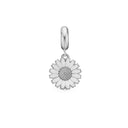charming marguerite
