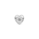 daisy flower