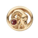 Stjernetegn stenbukken - forgyldt sølv charm - 630-G67-12