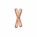 Snake It double charm rose - forgyldt sølv charm - 630-R86