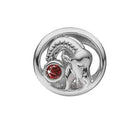 Stjernetegn stenbukken - sølv charm - 630-S67-12