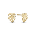 Rainforest studs, gold pl silver