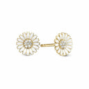 marguerite cz ø 8mm
