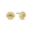 Clam shell