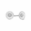 marguerite cz ø 8mm