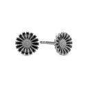 marguerite black ø8mm