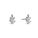 Oak Leaf