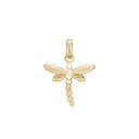 dragon fly