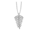 Fern Leaf