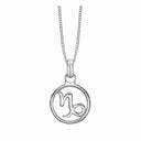 STJERNETEGN CAPRICORN/STENBUK - vedhæng - sølv - 680-S67-12