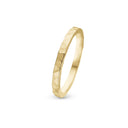 Experience - Forgyldt Ringe - 800-0.6.B