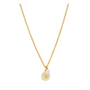 Marguerit Collier 11Mm Med Ferskvandsperle 5-5,5Mm 24Kt Forgyldt Hvid Emalje - Forgyldt|emajle Halskæder - 45 + 3 cm - 9025041-33-M