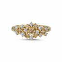 14kt. Twinkle ring med Brune og hvide Diamanter 0,51ct. w-si