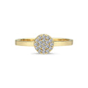14kt. MAGGIE ring med 0,20 ct. W-si