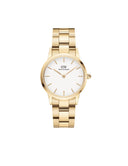 Iconic Link Gold 28Mm White