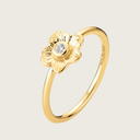 Izabel camille ringe