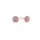 14kt. SOFIA ørestikker med pink safir + i alt 0,12ct. W-si