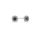 14kt. SOFIA ørestikker med safir + i alt 0,12ct. W-si