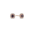 14kt. SOFIA ørestikker med safir + i alt 0,12ct. W-si