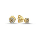 14kt. CORDELIA ørestikker med 0,10ct. brun + 0,12ct. W-si