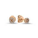 14kt. CORDELIA ørestikker med 0,10ct. brun + 0,12ct. W-si