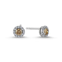 14kt. CORDELIA ørestikker med 0,28ct. brun + 0,14ct. W-si