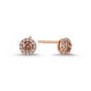 14kt. CORDELIA ørestikker med 0,28ct. brun + 0,14ct. W-si