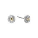 14kt Champagne ørestikker med 2x0,08ct. champagne + 2x0,08ct. W-si