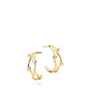 Vera - Øreringe Forgyldt