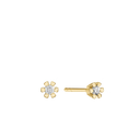 Eternity 8Kt Ørestik 2X0,05Ct Wsi
