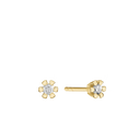 Eternity 14Kt Ørestik 2X0,20Ct Wsi