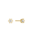 Eternity 14Kt Ørestik 2X0,25Ct Wsi