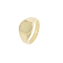 Signet Ring 8K