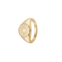 Magic Coin, Ring, Forg