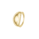 Ring, Bue, Forg Sølv
