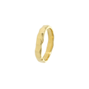 Ring, Facet