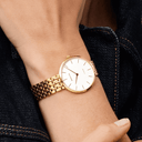 Titanium | poleret guld | 19334-334